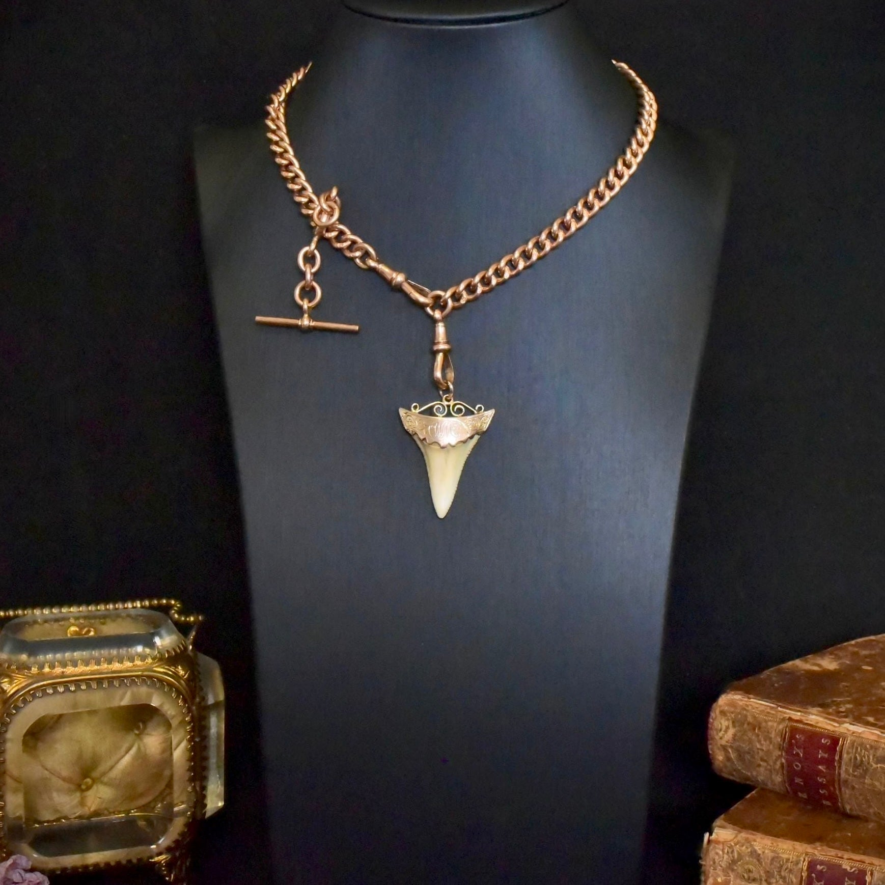 Antique Edwardian Australian 9ct Rose Gold Sharks Tooth Pendant - John Perryman / E.M Perryman, Adelaide Circa 1905-1910
