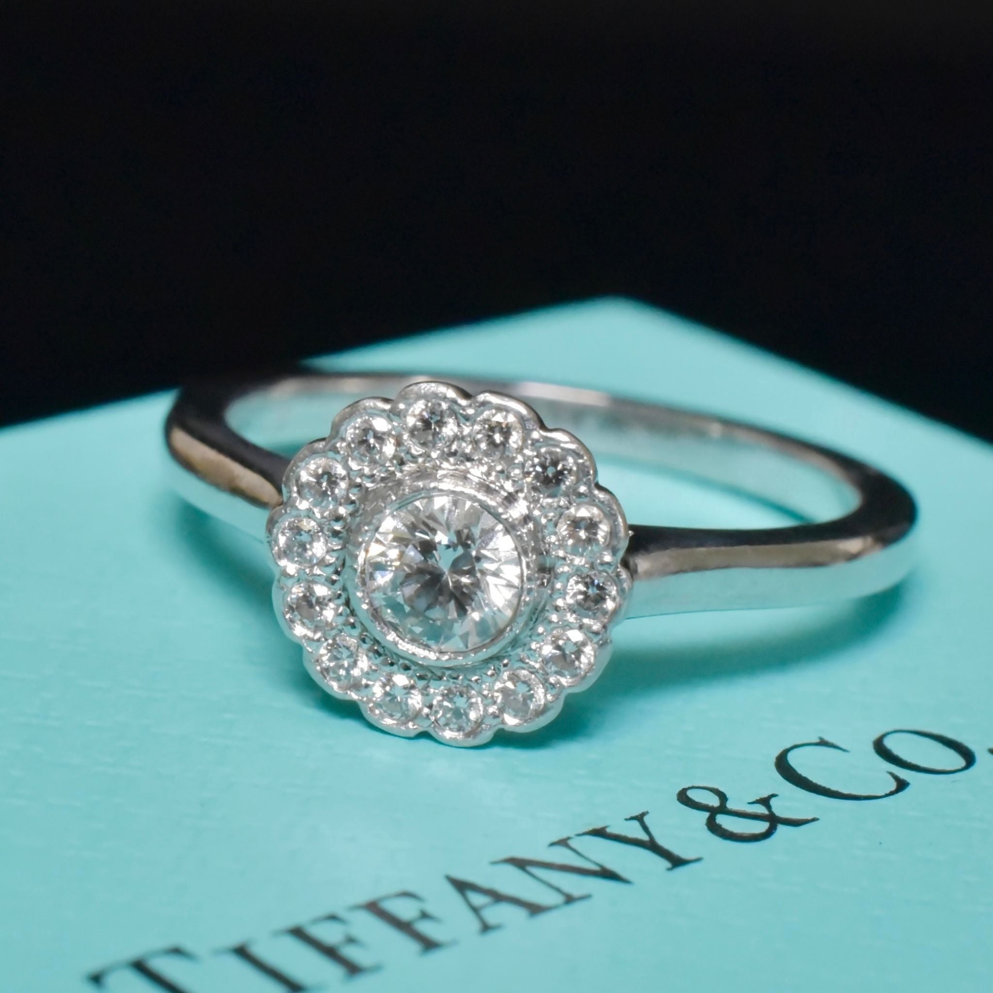 Exquisite Solid Platinum ‘Tiffany & Co.’ Diamond 'Enchanted Flower' Halo Ring