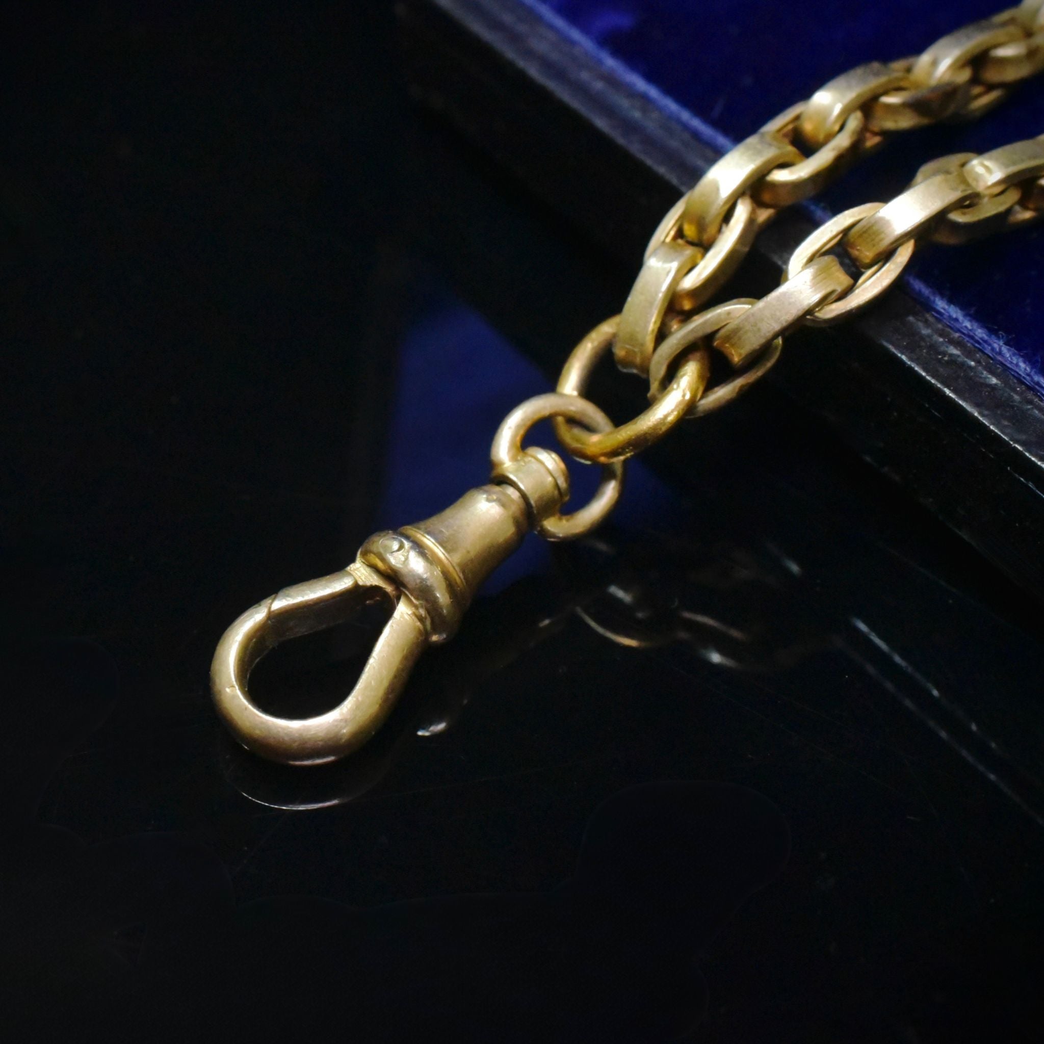 Antique Victorian/Early Edwardian *Rolled Gold* Cameo Taille D’épargne Slide Chain