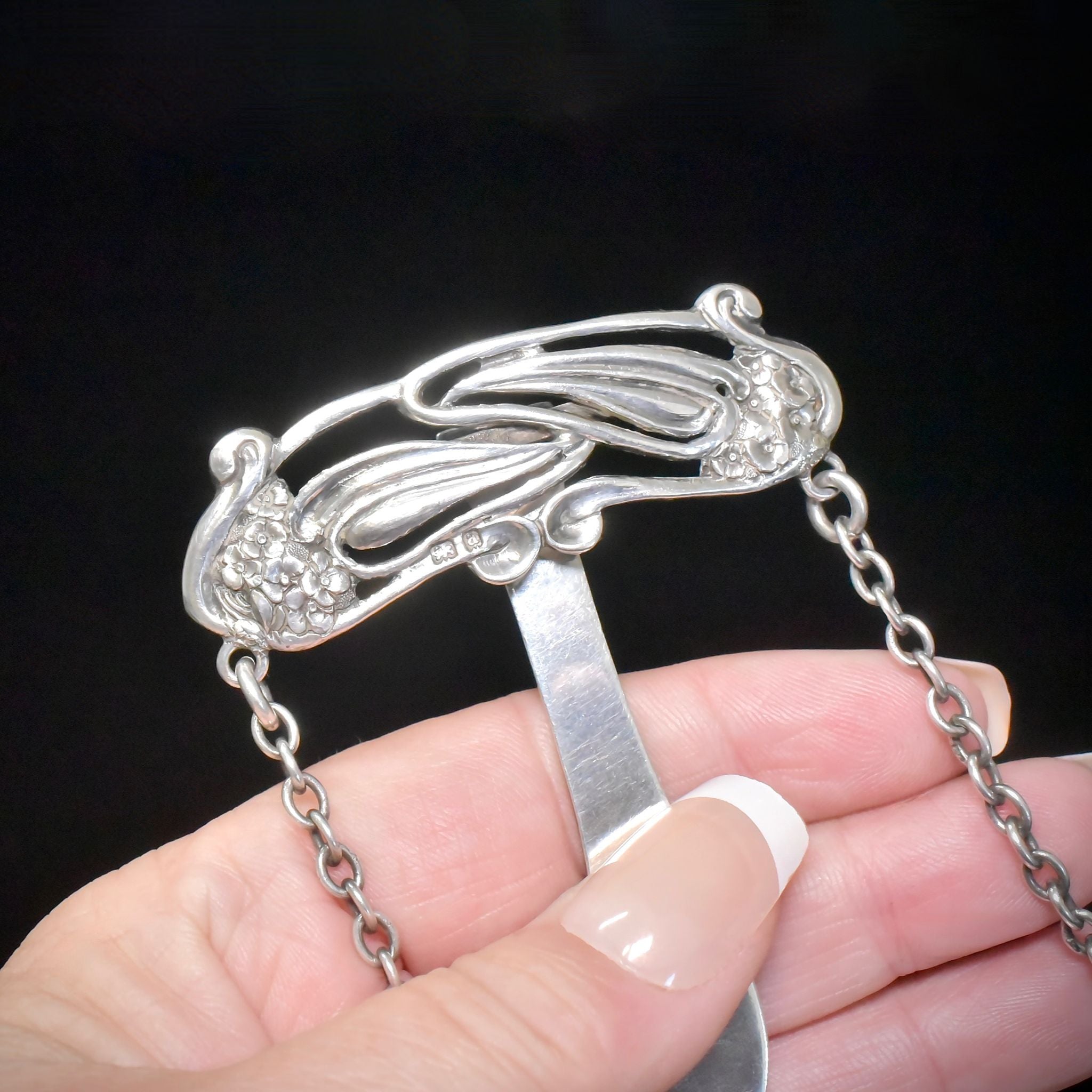 Stunning Antique Art Nouveau Sterling Silver Chatelaine-Purse By Henry Williamson Ltd - 1900