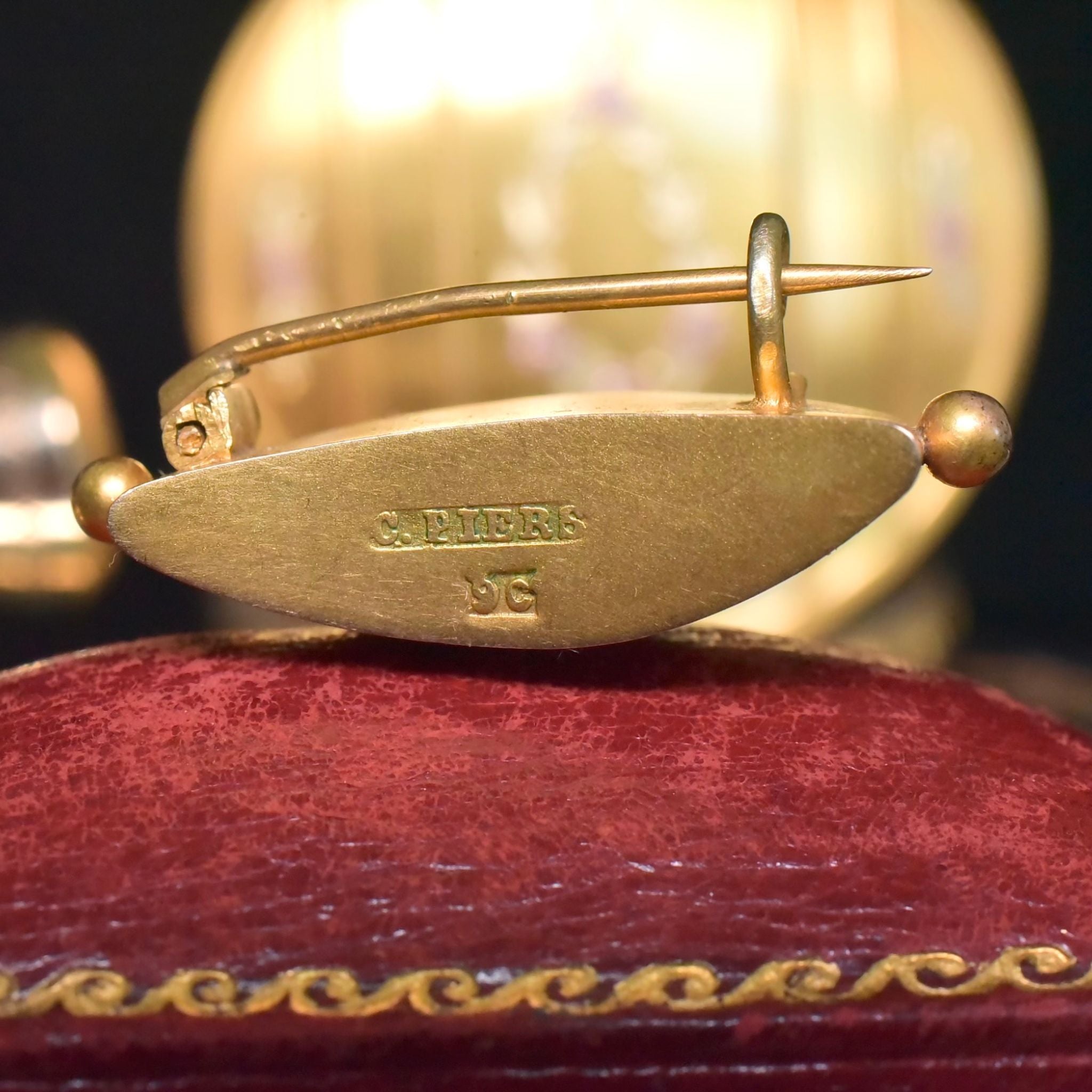 Antique Australian 9ct Gold Large Sharks Tooth Brooch By C. Piers - South Australia Circa 1900-1910