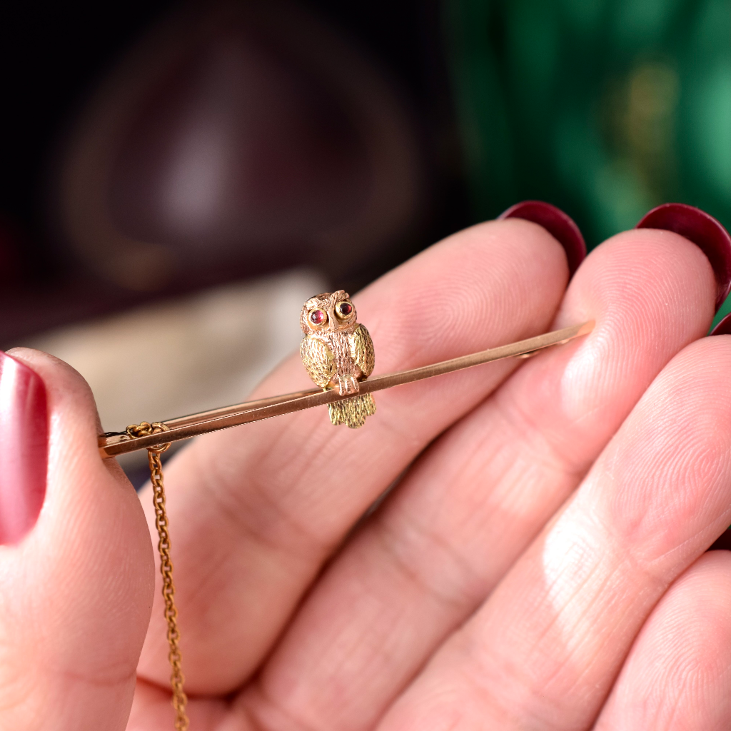 Antique Edwardian 9ct Rose And Green Gold ‘Owl’ Bar Brooch / Original Box Circa 1910