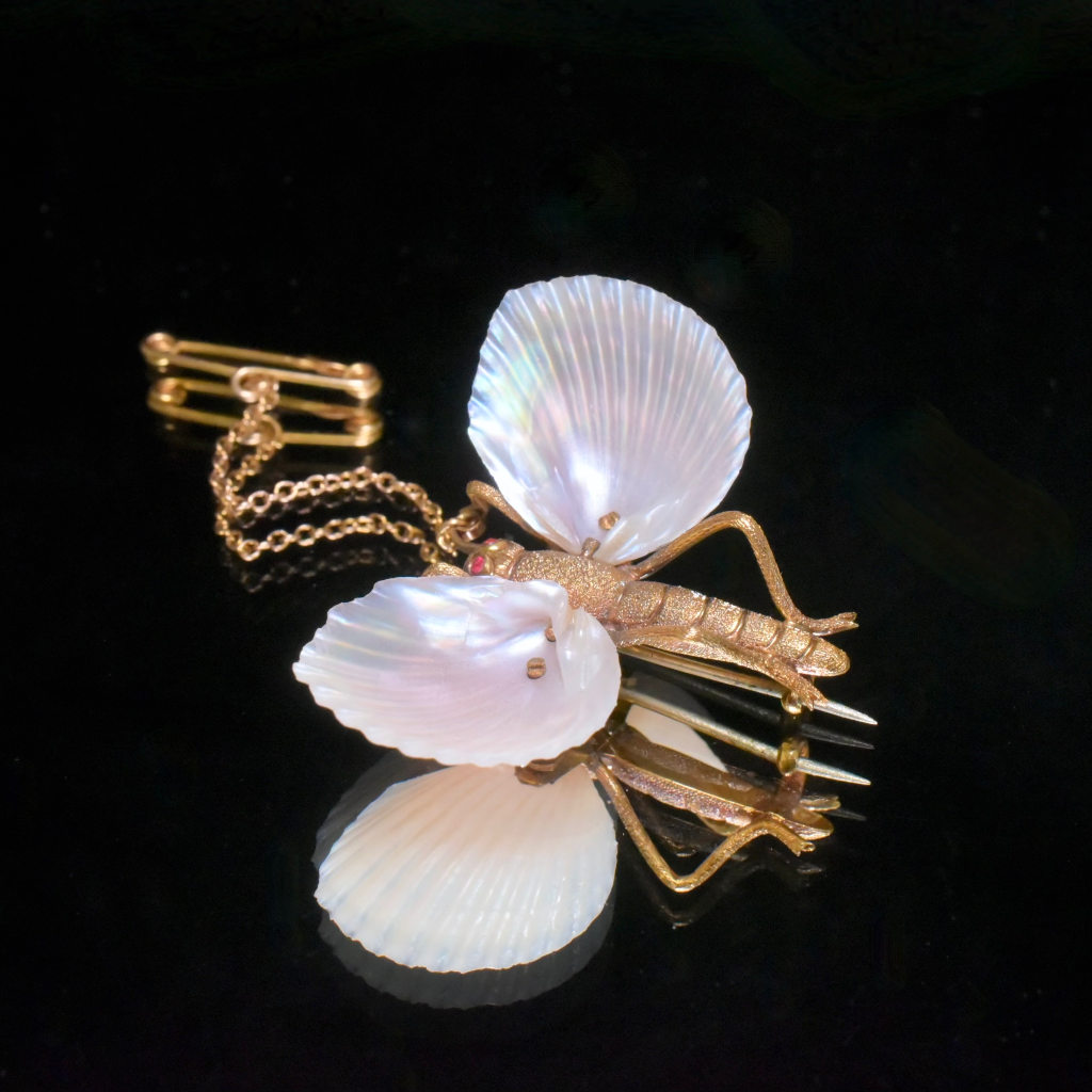 Superb Antique Australian 15ct Gold Australian Shell Insect Brooch Circa 1880-1890