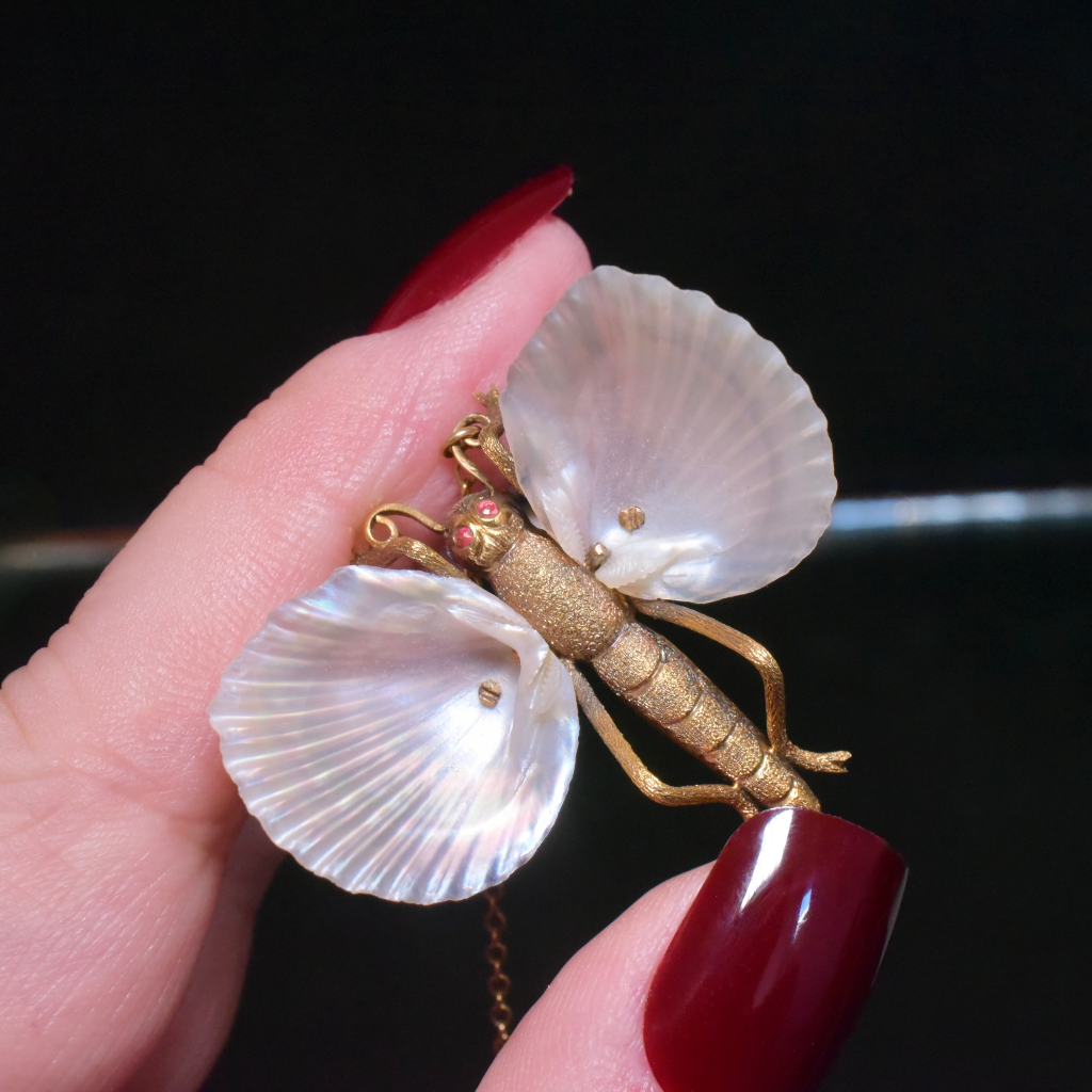 Superb Antique Australian 15ct Gold Australian Shell Insect Brooch Circa 1880-1890