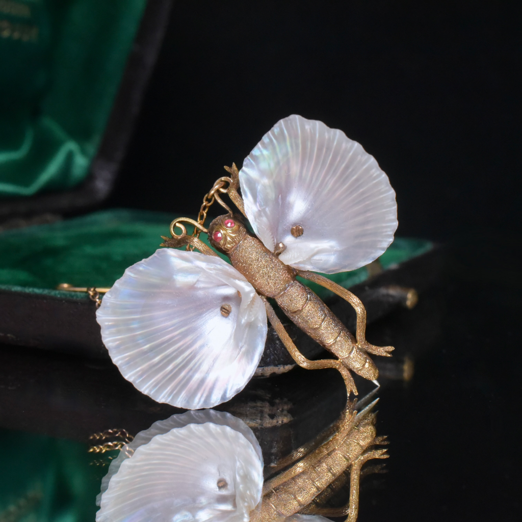 Superb Antique Australian 15ct Gold Australian Shell Insect Brooch Circa 1880-1890