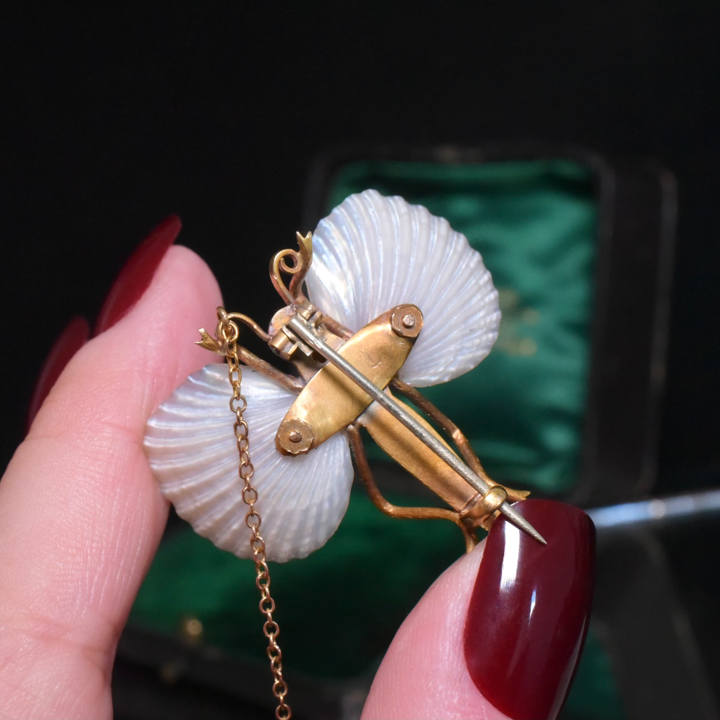 Superb Antique Australian 15ct Gold Australian Shell Insect Brooch Circa 1880-1890