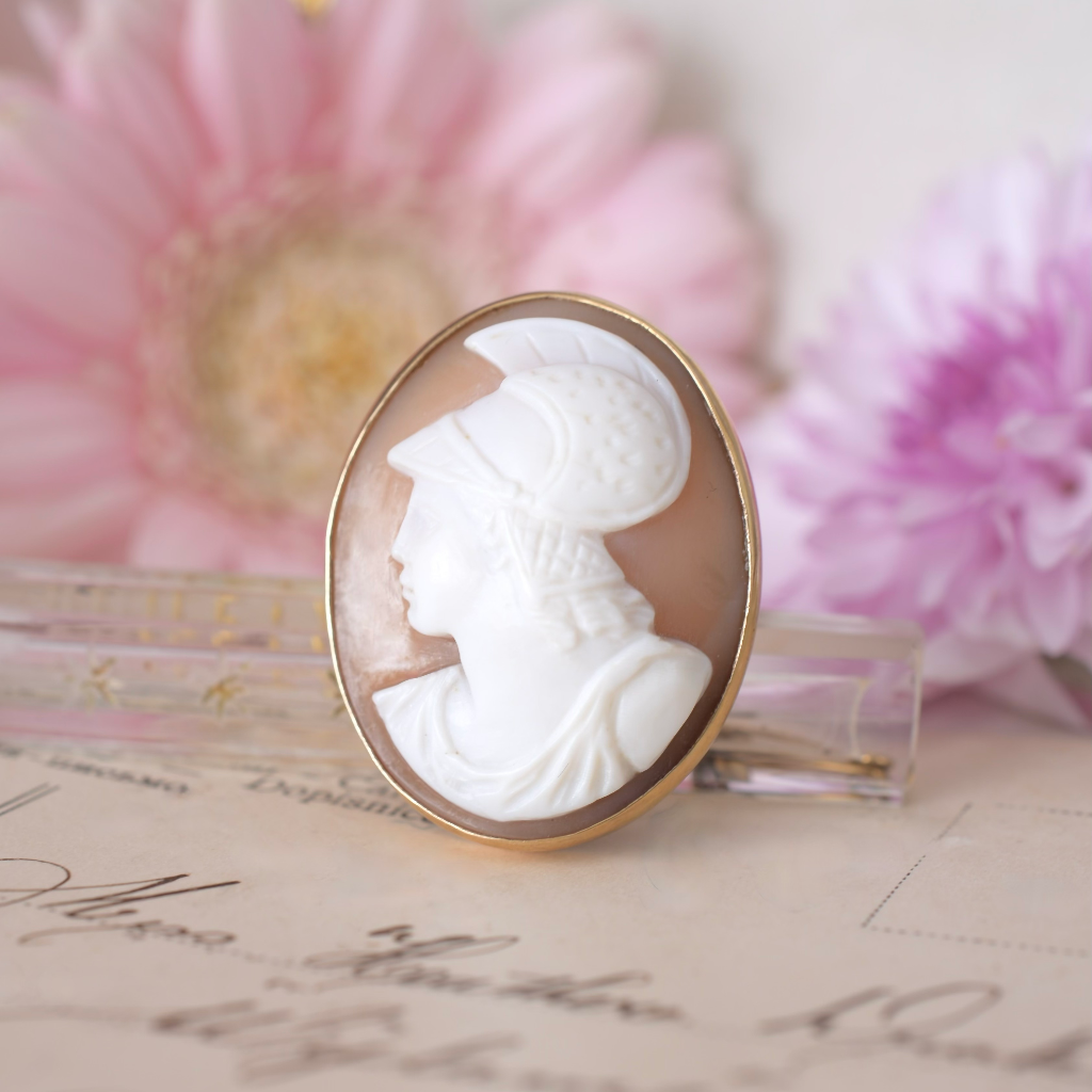 Pink best sale cameo brooch