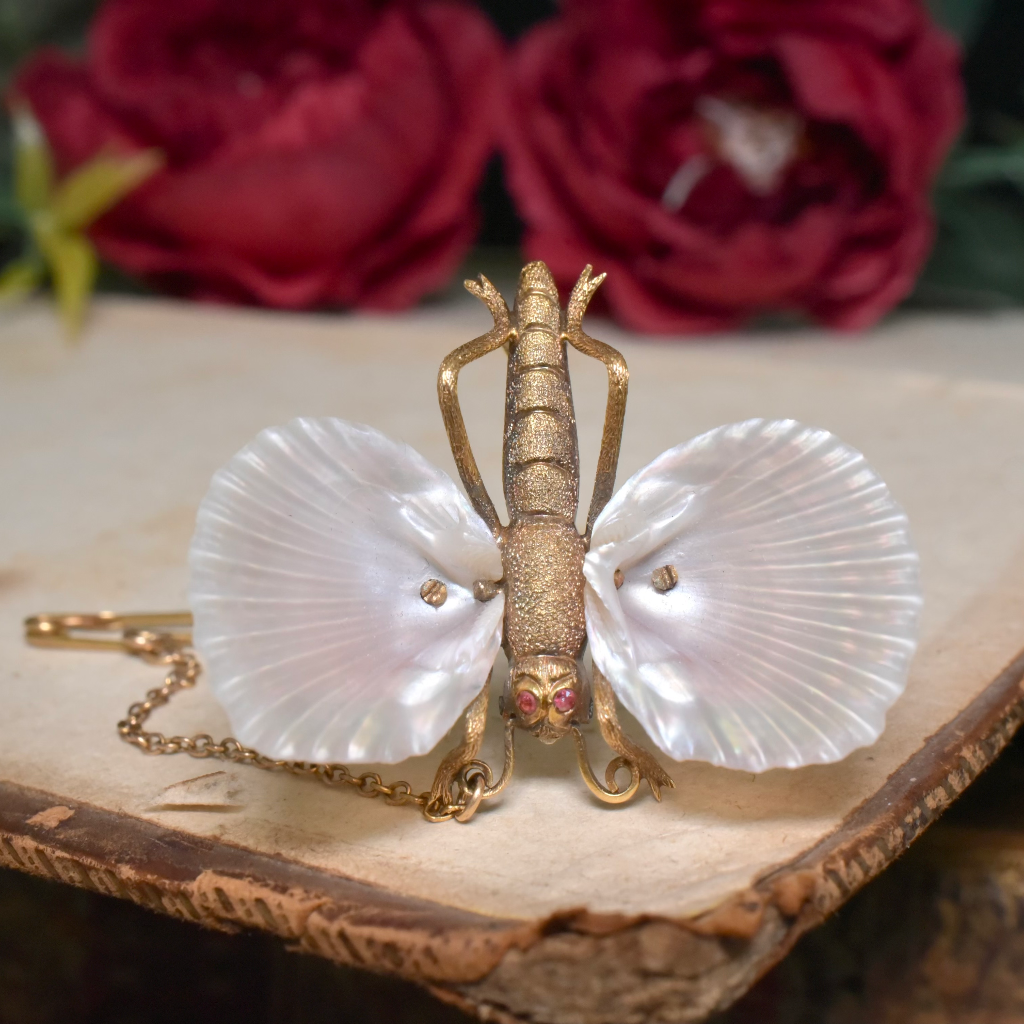 Superb Antique Australian 15ct Gold Australian Shell Insect Brooch Circa 1880-1890