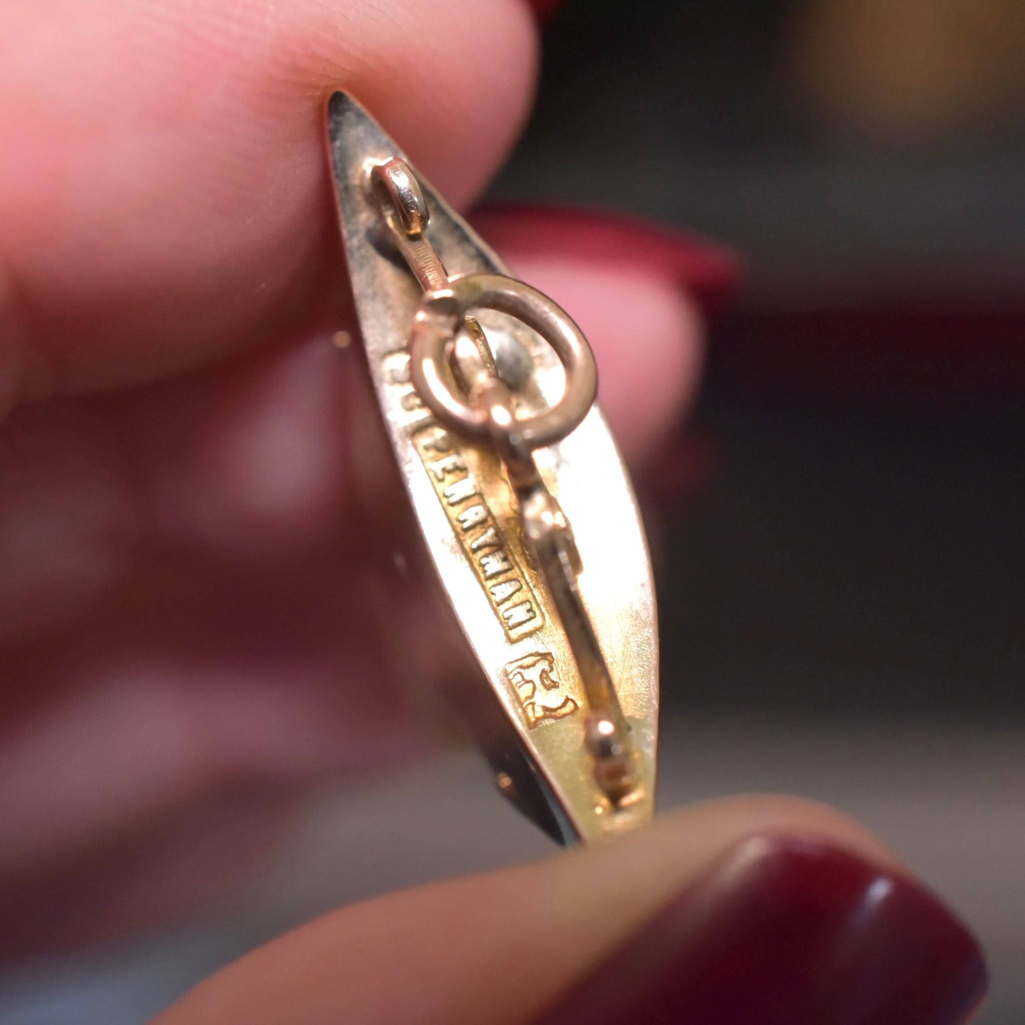Antique Edwardian Australian 9ct Rose Gold Sharks Tooth Pendant - John Perryman / E.M Perryman, Adelaide Circa 1905-1910