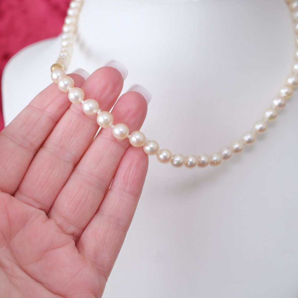 Modern 14ct Yellow Gold And Cultured Pearl ‘Princess’ Length - 48cm