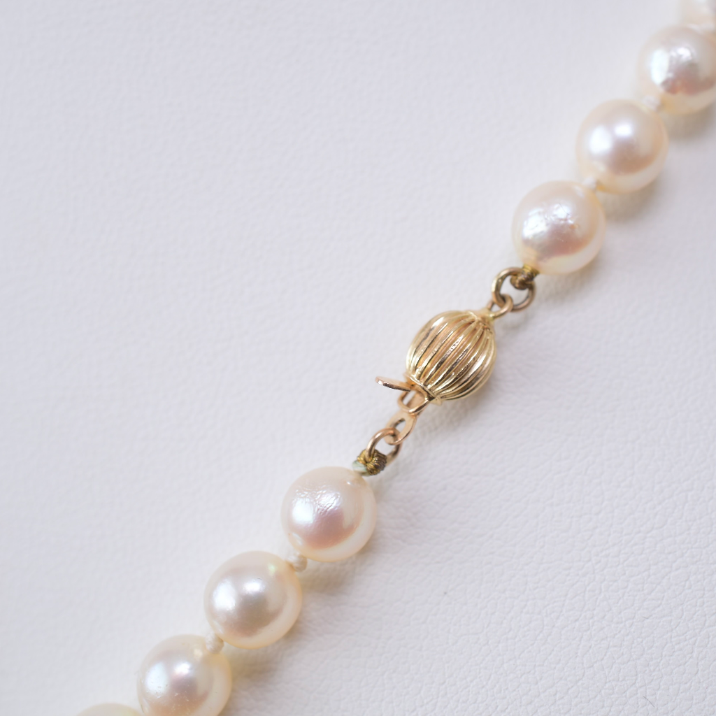 Modern 14ct Yellow Gold And Cultured Pearl ‘Princess’ Length - 48cm