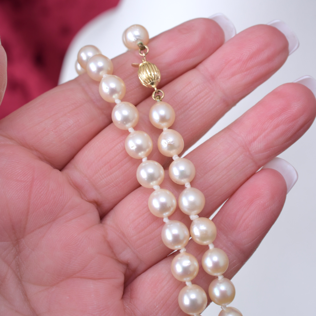 Modern 14ct Yellow Gold And Cultured Pearl ‘Princess’ Length - 48cm