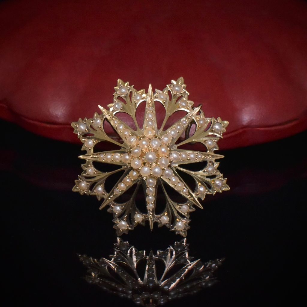 Antique Australian Edwardian Large 15ct Gold Seed Pearl ’Starburst’ Pendant/Brooch By Willis And Sons