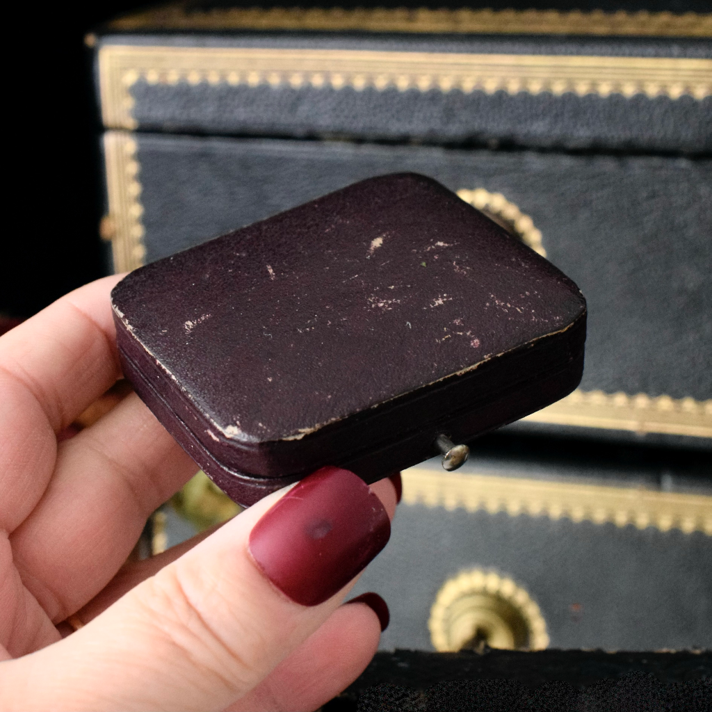 Antique/Vintage Boxed - Un-Set Shell Cameo