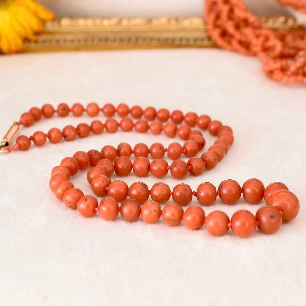 Antique Victorian 9ct And Red Salmon Coral Graduated Bead Necklace Circa 1880