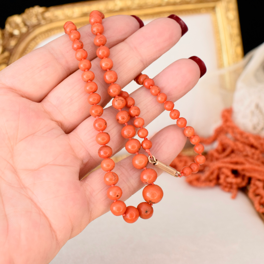 Antique Victorian 9ct And Red Salmon Coral Graduated Bead Necklace Circa 1880