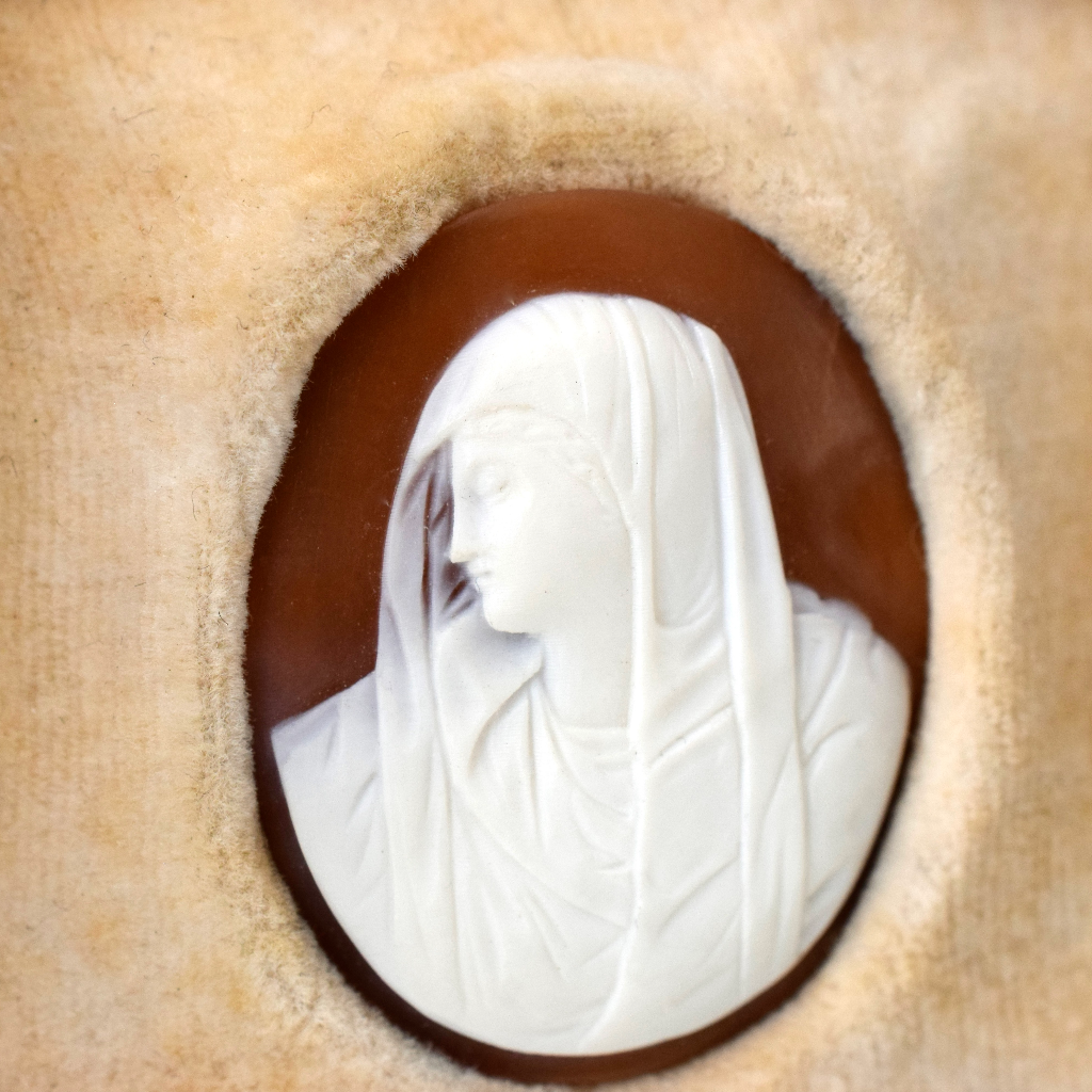 Antique/Vintage Boxed - Un-Set Shell Cameo