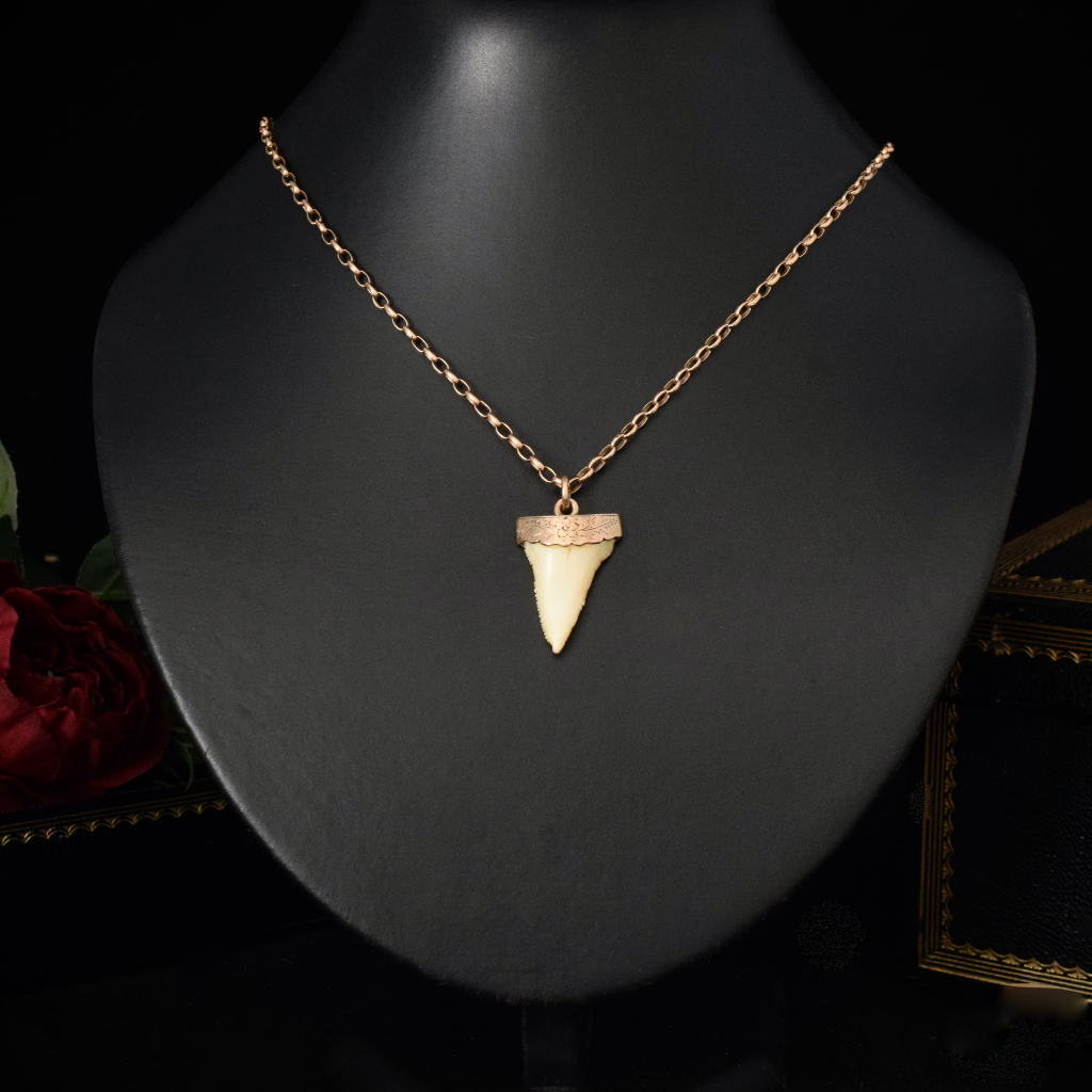 Antique 9ct Rose Gold Sharks Tooth Pendant Circa 1900