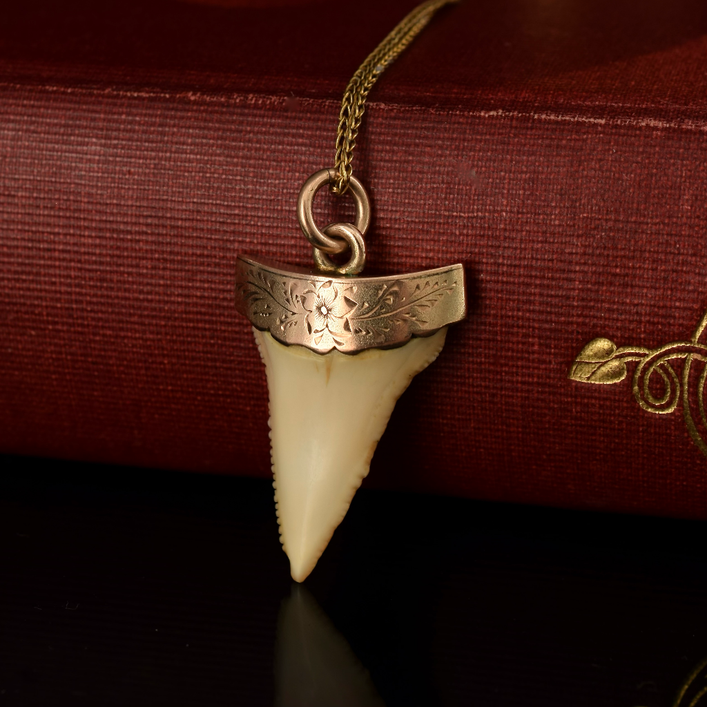 Antique 9ct Rose Gold Sharks Tooth Pendant Circa 1900