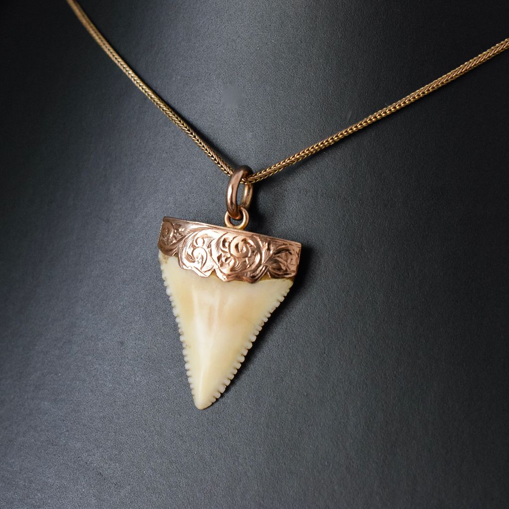 Antique Australian Willis and Sons 9ct Rose Gold Shark Tooth Circa 1905