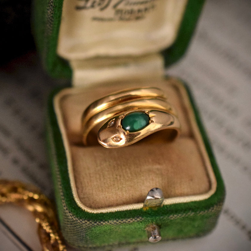 The Serpent; History, Symbolism & Attraction