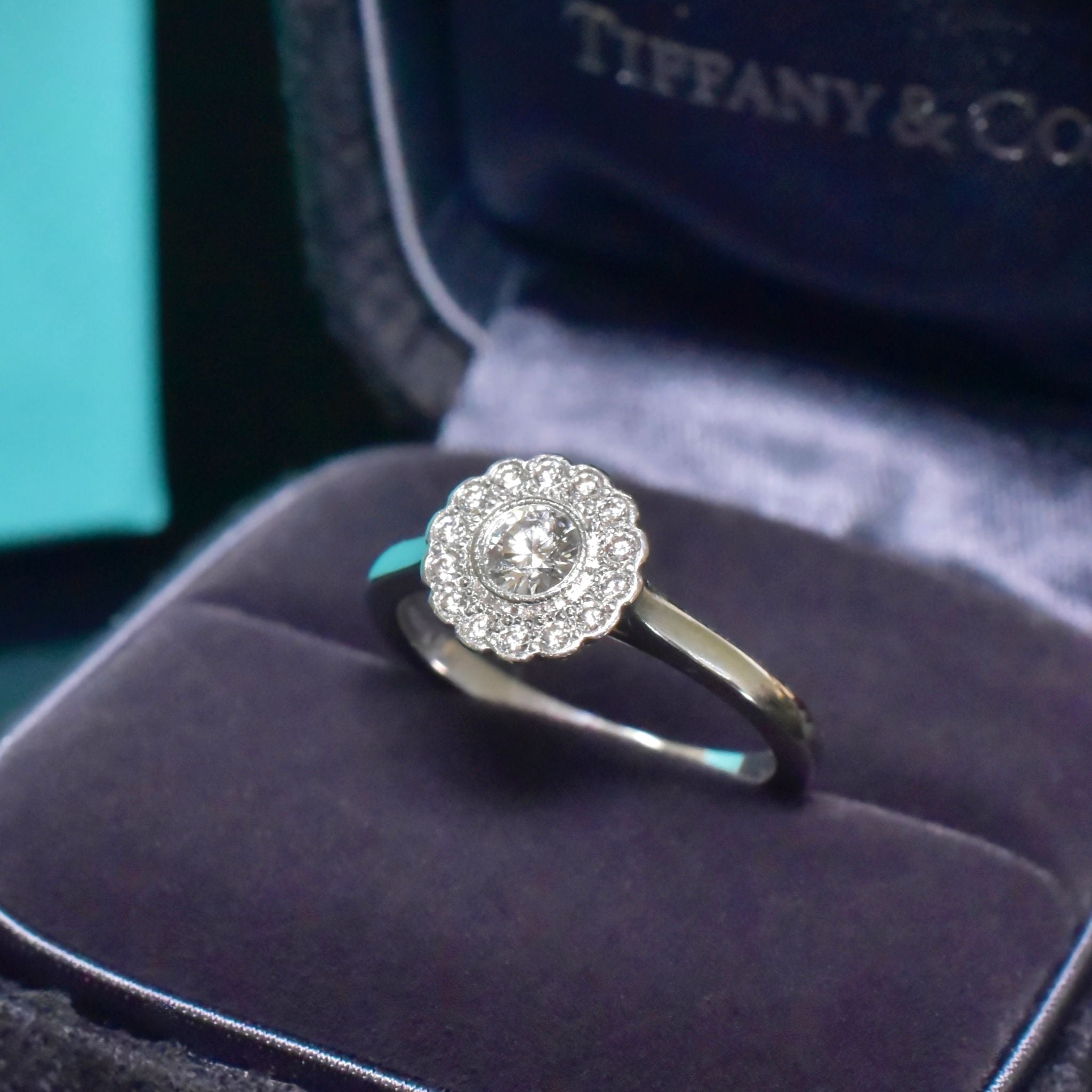 Exquisite Solid Platinum ‘Tiffany & Co.’ Diamond 'Enchanted Flower' Halo Ring