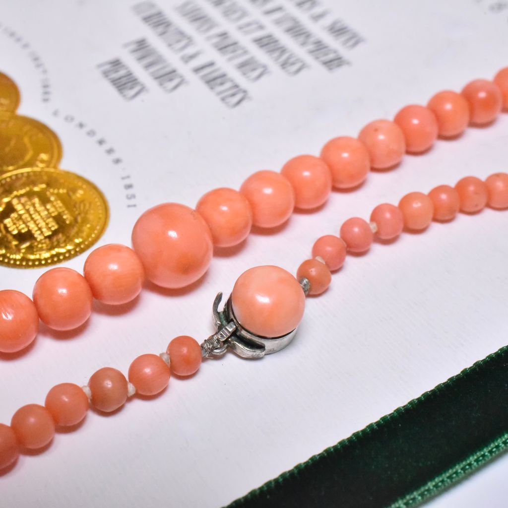 Antique Edwardian Era Graduated Salmon Coral Bead Necklace - 57cm