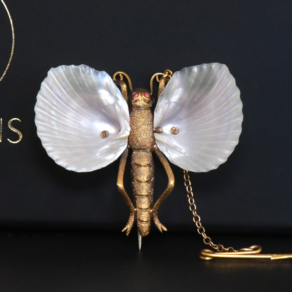 Superb Antique Australian 15ct Gold Australian Shell Insect Brooch Circa 1880-1890