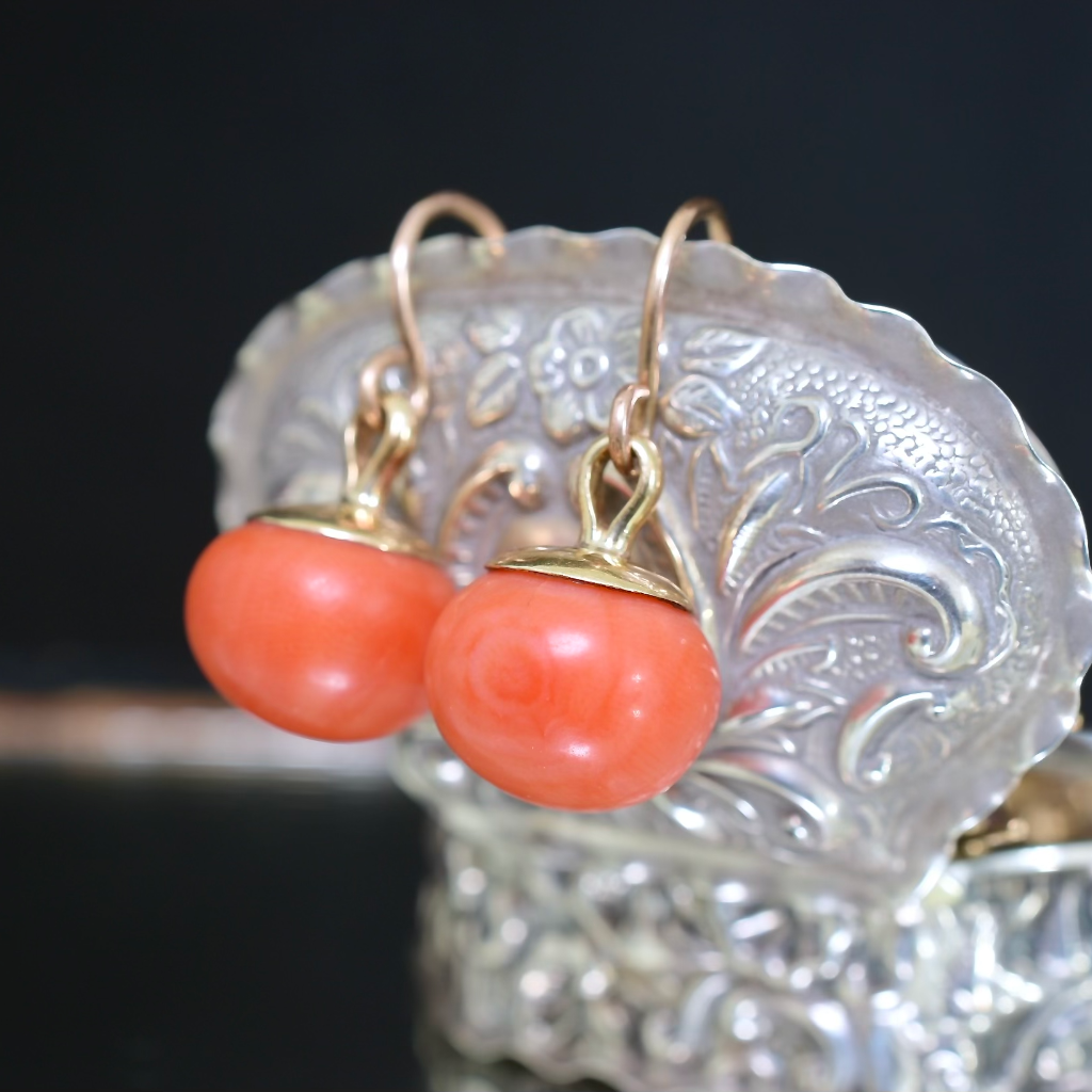 Antique Edwardian Era 9ct And 14ct Gold Salmon Coral Earrings