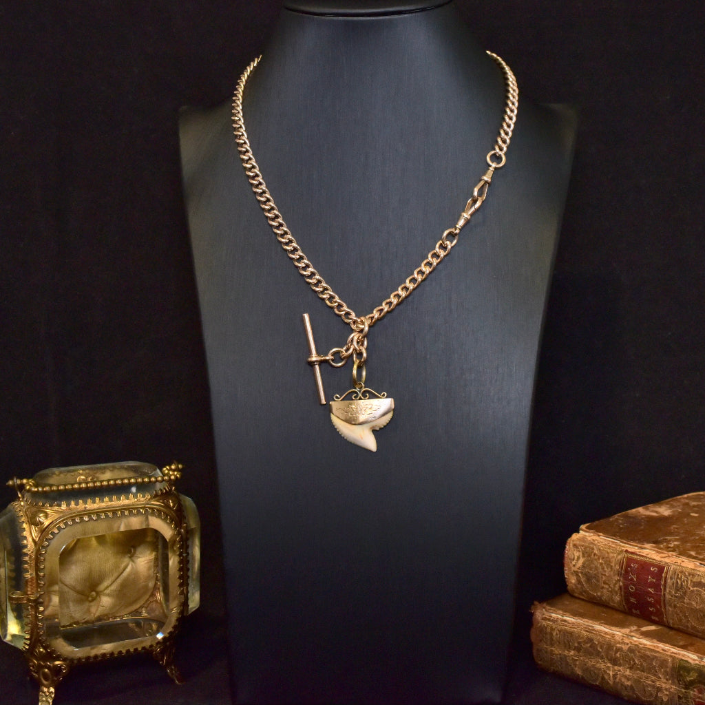 Antique Edwardian 9ct Rose Gold Sharks Tooth Fob / Pendant Circa 1900-1910