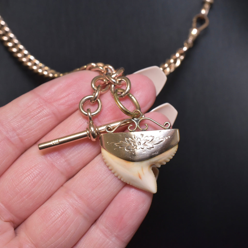 Antique Edwardian 9ct Rose Gold Sharks Tooth Fob / Pendant Circa 1900-1910