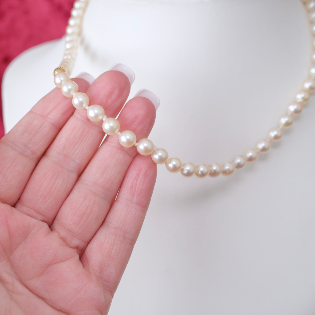 Modern 14ct Yellow Gold And Cultured Pearl ‘Princess’  Length - 48cm