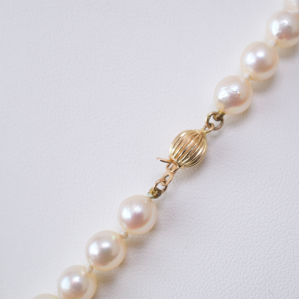 Modern 14ct Yellow Gold And Cultured Pearl ‘Princess’  Length - 48cm