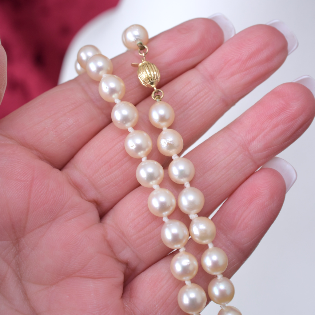 Modern 14ct Yellow Gold And Cultured Pearl ‘Princess’  Length - 48cm