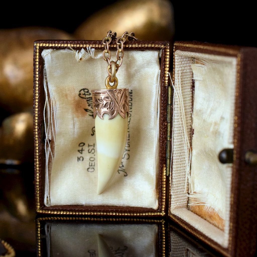 Antique Late 19th Century “Raj” Era 9ct Rose Gold Tooth Pendant Circa 1890