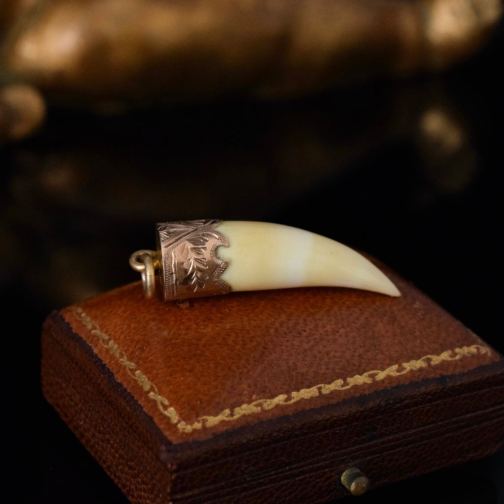 Antique Late 19th Century “Raj” Era 9ct Rose Gold Tooth Pendant Circa 1890