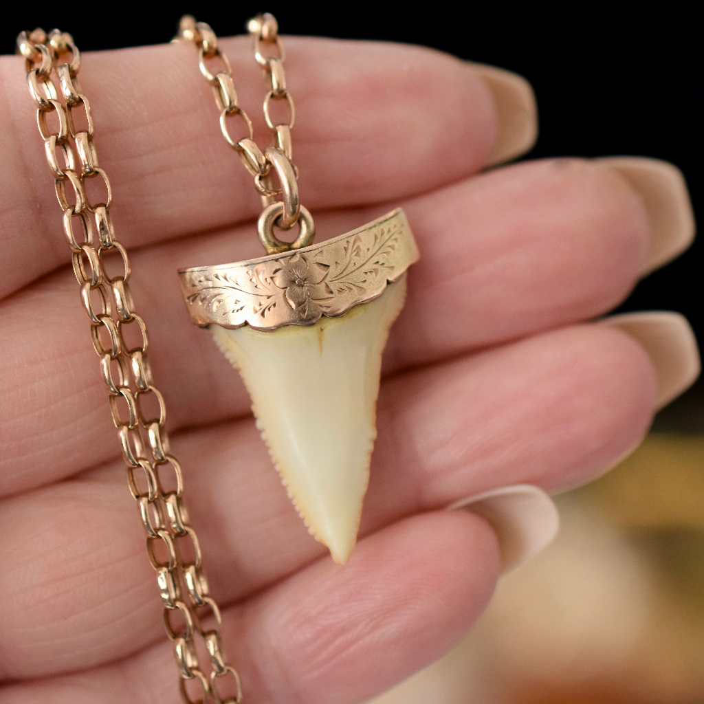 Antique 9ct Rose Gold Sharks Tooth Pendant Circa 1900