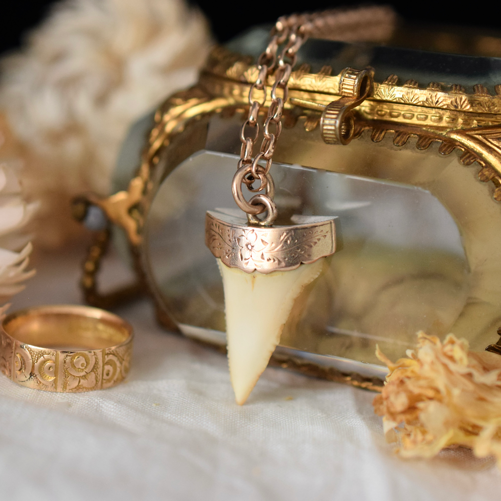 Antique 9ct Rose Gold Sharks Tooth Pendant Circa 1900